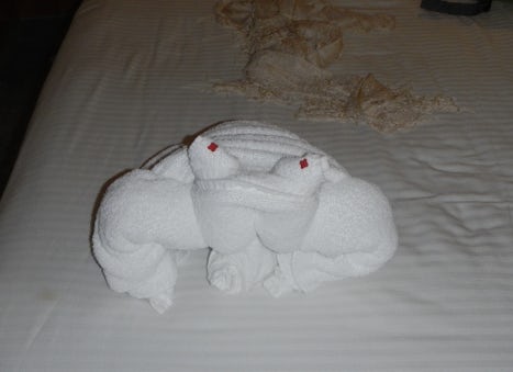 On of the many towel animals