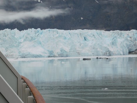 Glacier Bay from our Blacony