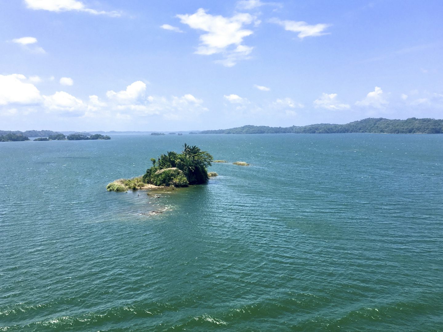 Mini-island in Lake Gatun, Panama