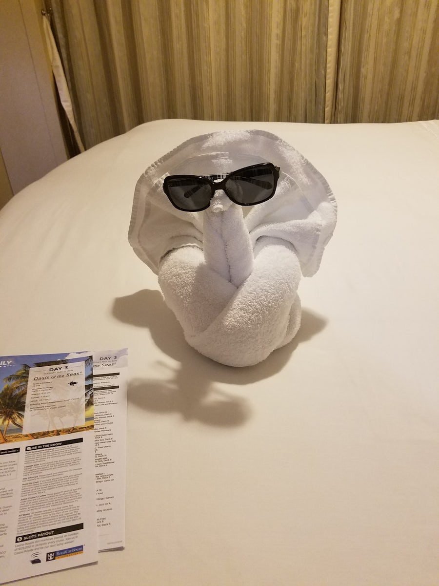 Towel turkey showing they leave the itinerary for the next day every evenin