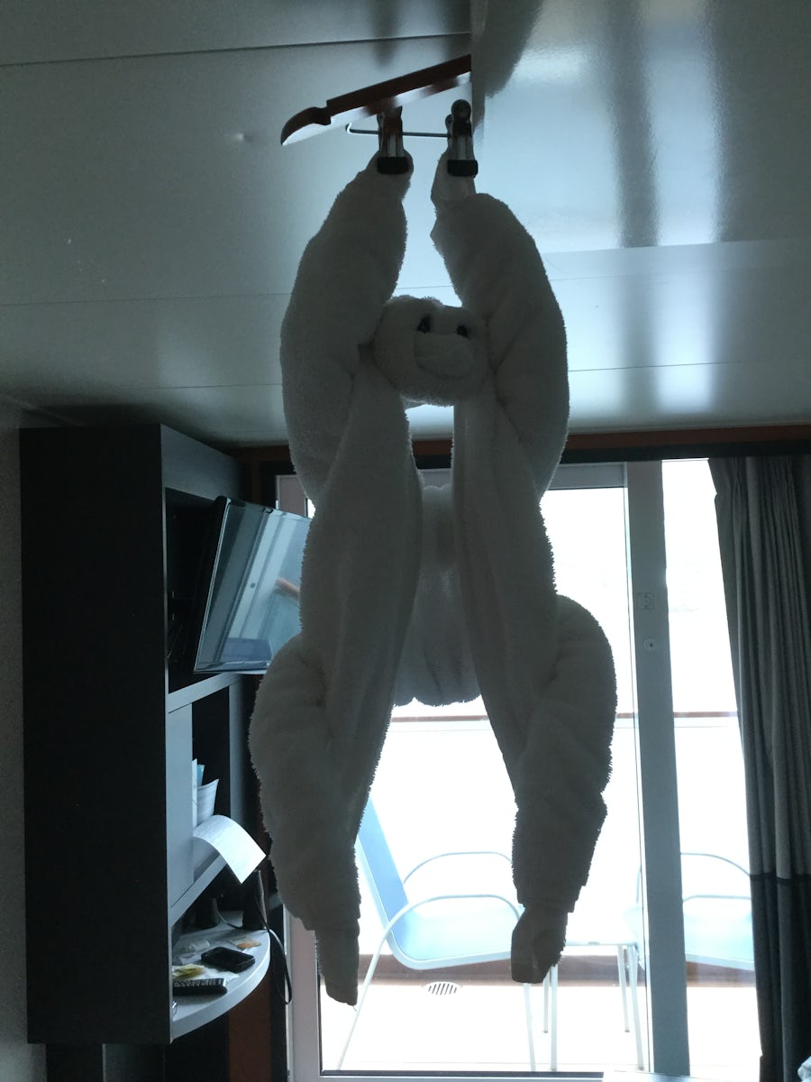 Towel Monkey hanging in room