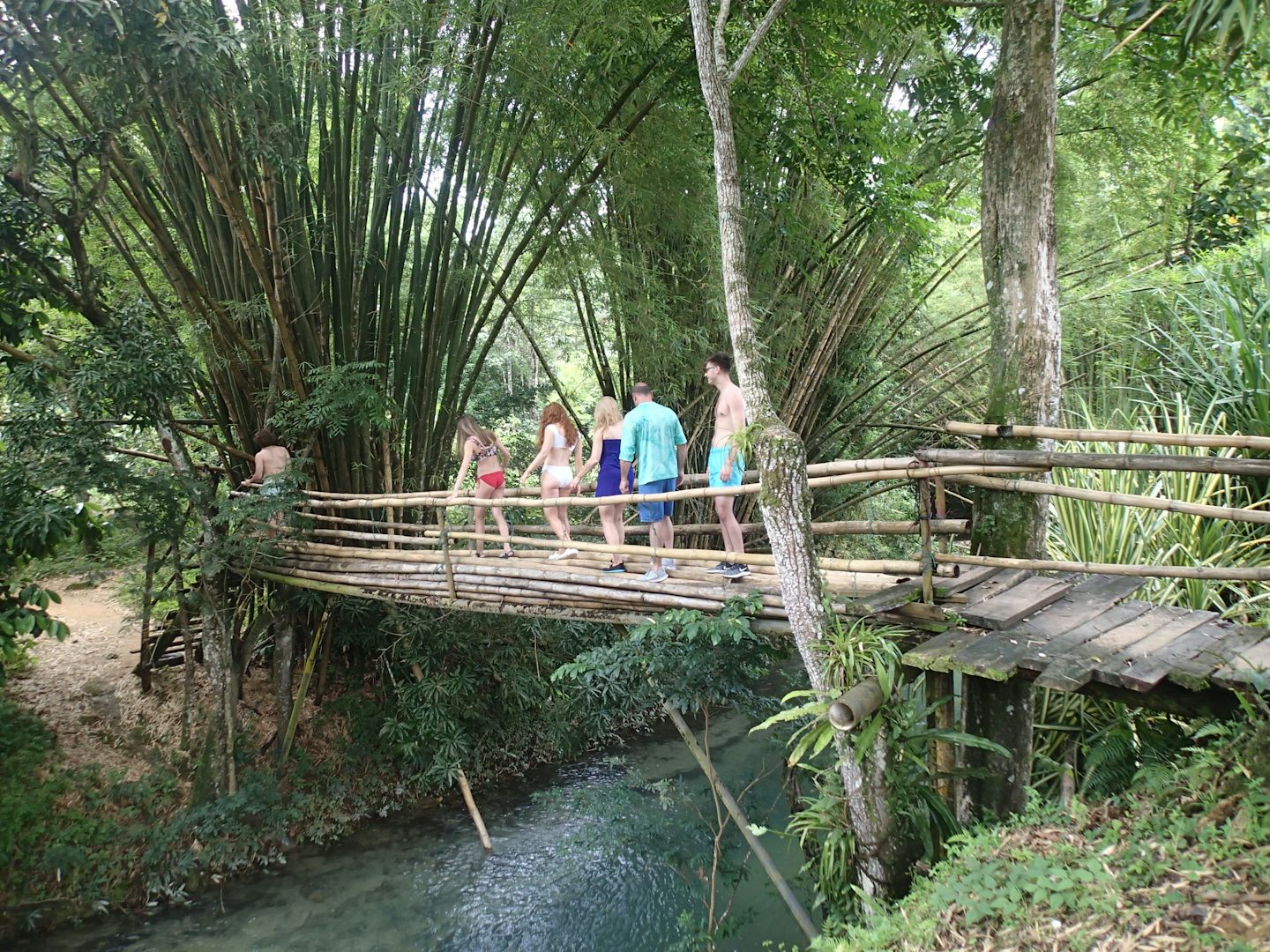 Headed to falls- cool bamboo bridge!