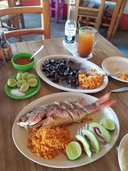 FRESH CAUGHT grilled fish and squid in its ink (pulpo en su tinta)