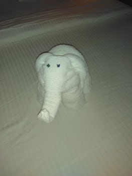 Great service, we got one of these towel animals on our bed every night!