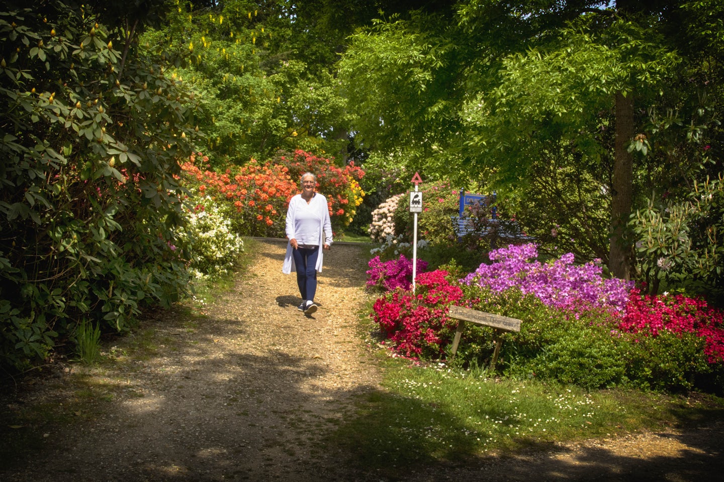 Visiting the fantastic Exbury Gardens in the New Forest close to Southampto