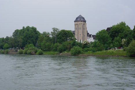 Views from the Rhine