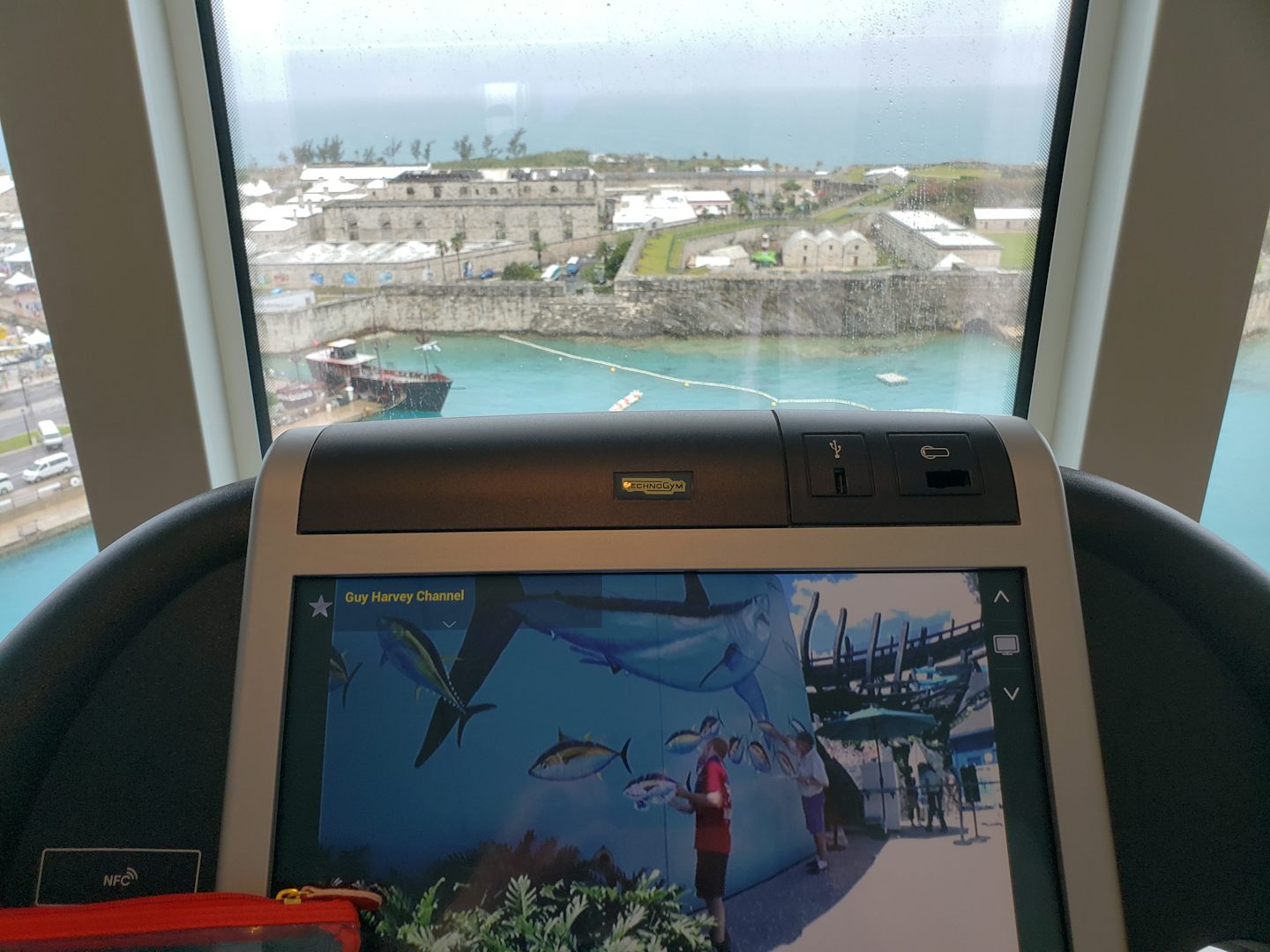 View from the treadmill