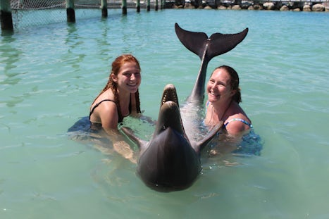 Dolphin Encounter in Nassau