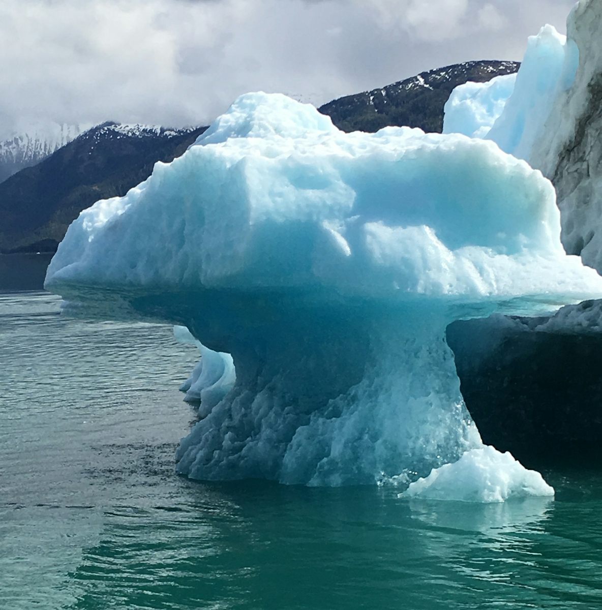 One of the iceberg that we saw going to Dawes Glacier and got to touch