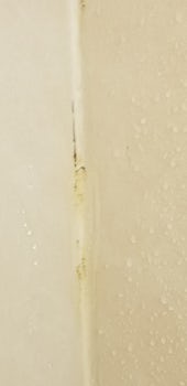 Mold in our shower