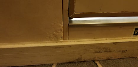 Mold by our bathroom door