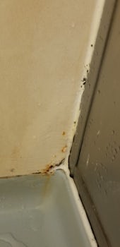 Mold and rust in our shower