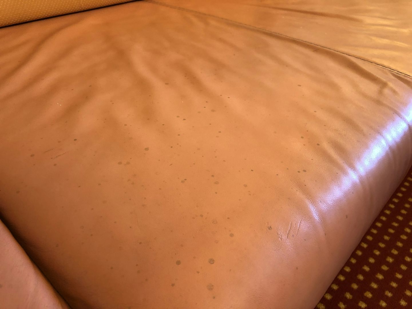 The couch was was stained and nasty