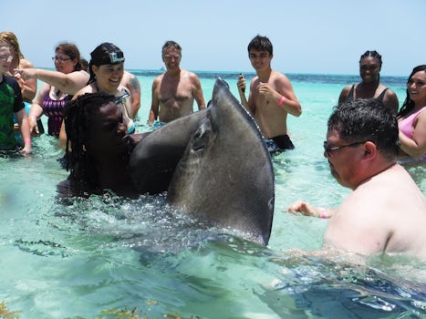 Jayson from Rays, Conch and Reef Snorkel captured a sting ray for everyone