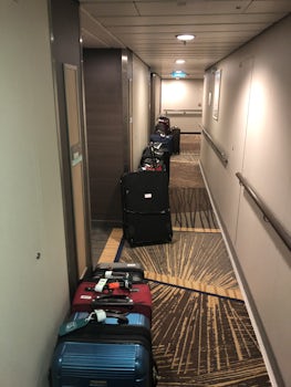 The sadest sight. 
All the bags set out on the last night.