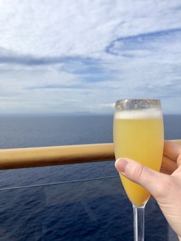 Mimosa on 1st sea day!!! Cuba in the background