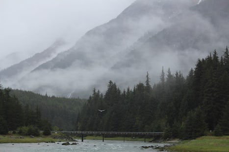 Alaska Nature & Wildlife Expedition