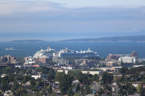 Grand Princess seen from Mt. Tolmie
Oh Canada Excursion