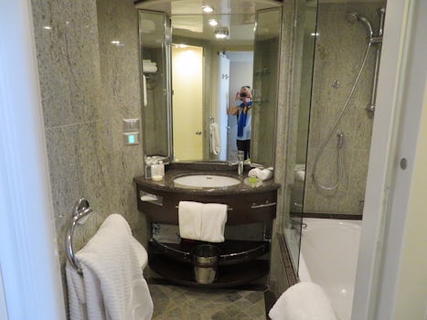 Bathroom is very roomy, includes shower and also a shower/tub combo.  Nice