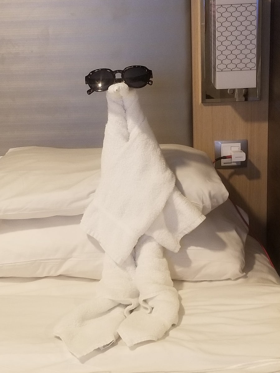 Chilling towel animal