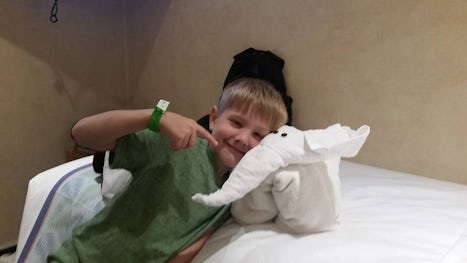My son LOVED the towel animals!