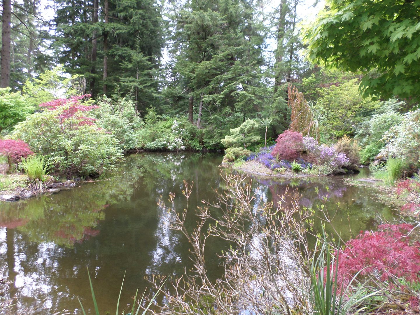The Gardens at the Rainforest in Juneau