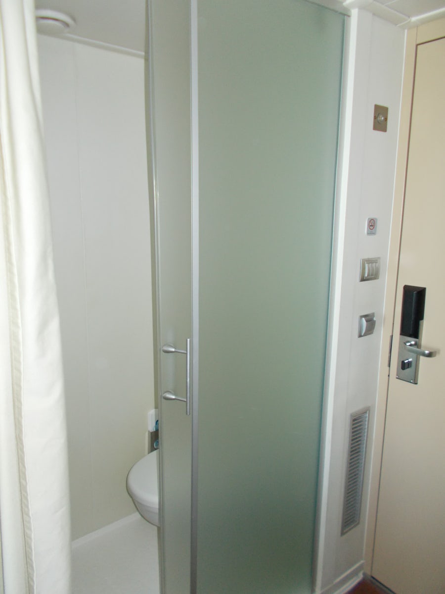 Toilet with glass screen door and no sound proofing.