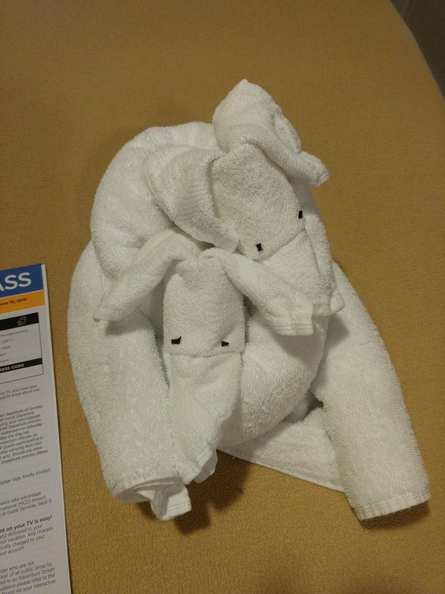 Our room attendant made us a towel pet