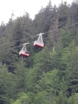 Mt Robert's Tram