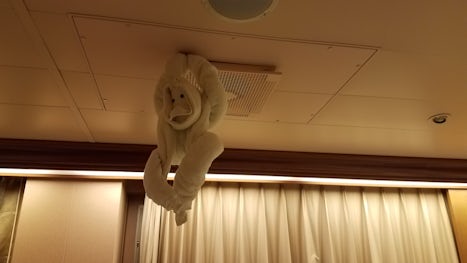 Towel monkey - hanging from the ceiling vent.