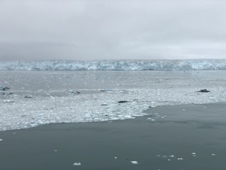Hubbard Glacier, the weather was not great but we still got good views