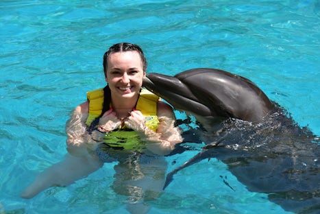 VIP swimming with the dolphins.