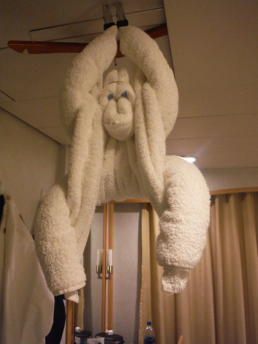 Cabin attendant, George is very talented with towel art animals that appear