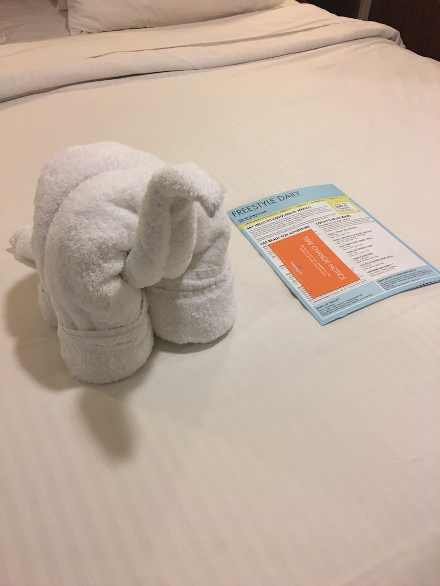 Loved all of the towel animals my cabin steward made! We were always excite