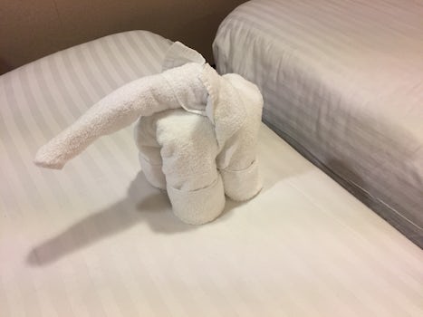 Like this elephant, hard to forget the little extras our cabin porter provi