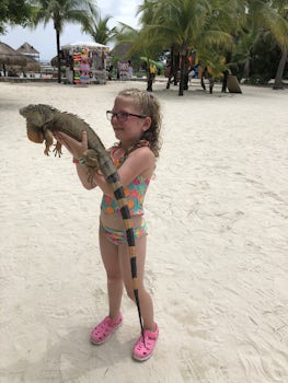 Daughter holding a trained/tame lizard (Chakanaab beach area, Cozumel)