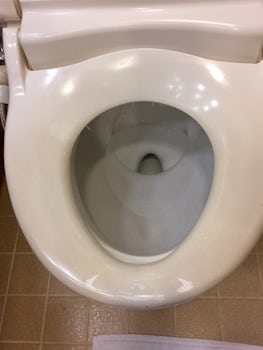 The toilet seat was gross.  Replacement needed. Again, the cost of the fami
