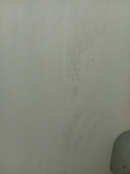 Shower wall has mold