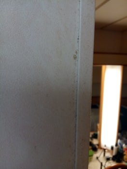 Mold on shower door