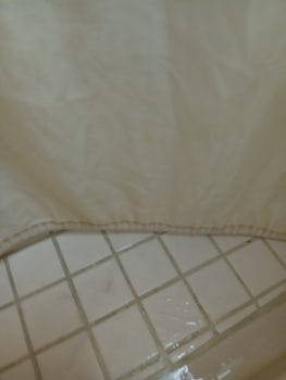 Shower curtain covered in mold they should use plastic ones
