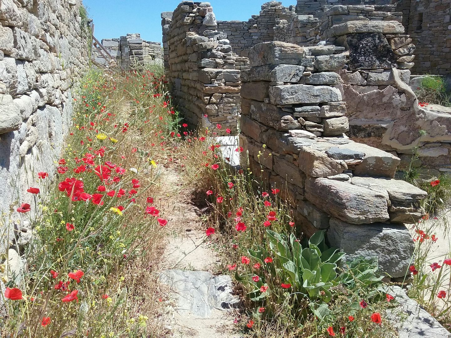 Delos ruins across from Mykonos