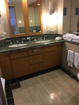 The large bathroom