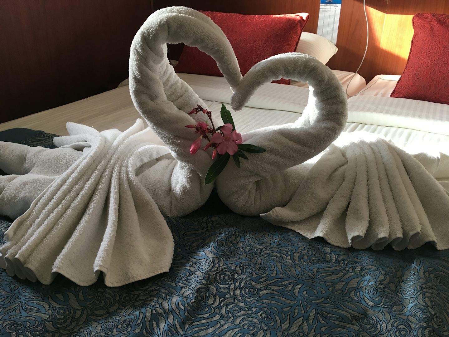 The staff made this beautiful swans for us