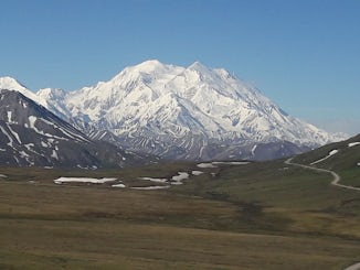 View of Denali from land tour.