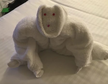 "Towel Art" - our cabin steward Alfred surprised and delighted us e