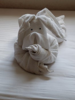 Towel animal in our cabin.  We had a new animal every day.