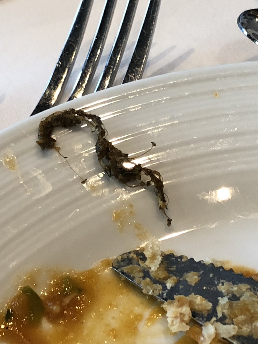 Strange seeweed that ended up in our plate.