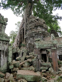 Ta Prohm temple at Siem Reap