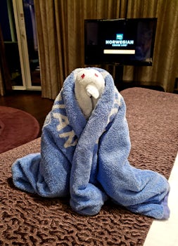 17102 suite, chilly penguin