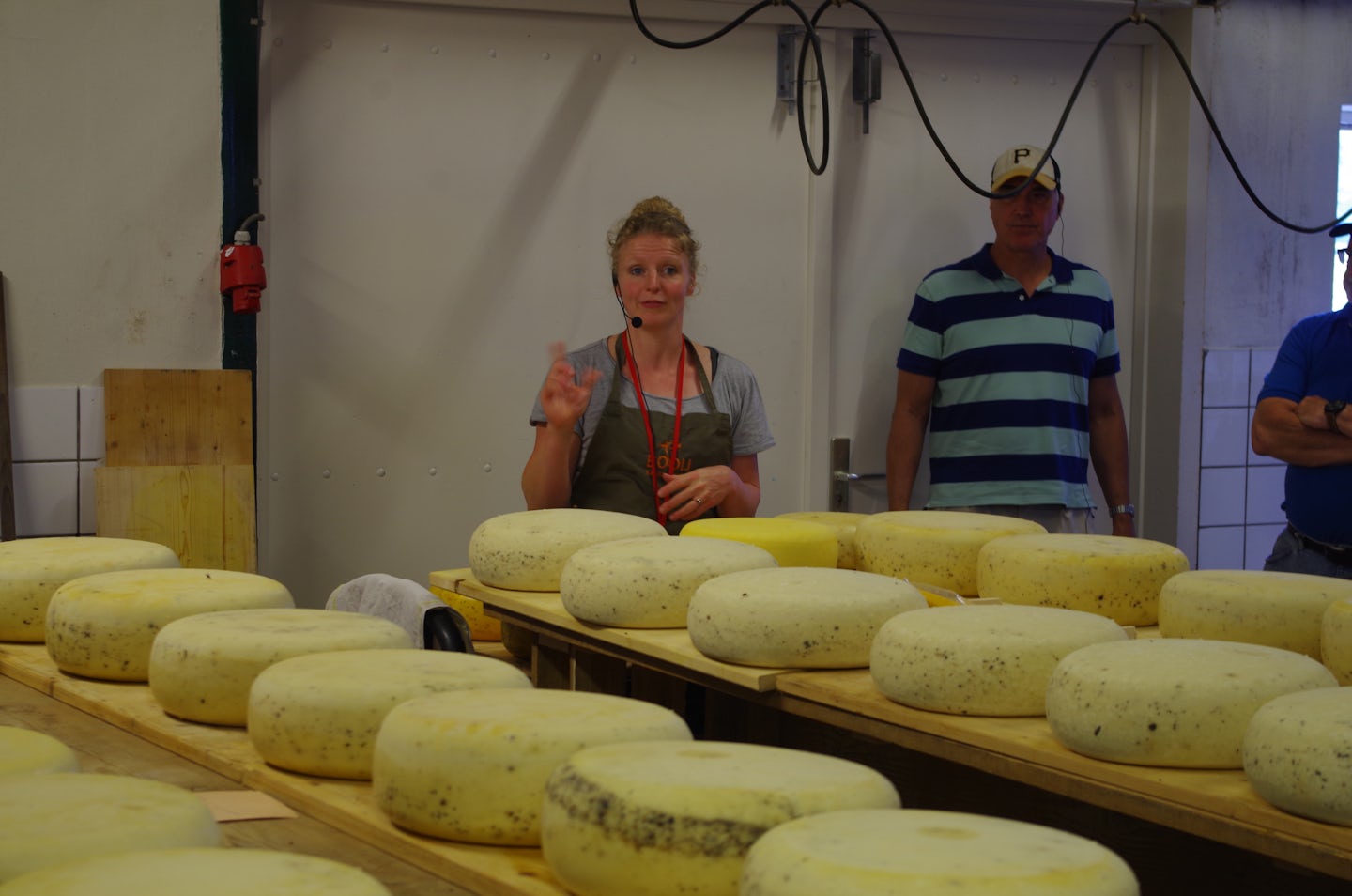 Tour of Booij Cheesemakers in Rotterdam, Netherlands
